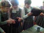 IMG_20150211_132103.jpg